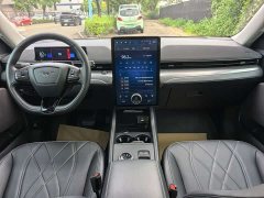 Ford Electric Horse 2021 Rear-wheel drive version (standard range) - фото 5