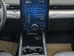 Ford Electric Horse 2021 Rear-wheel drive version (standard range) - фото 6