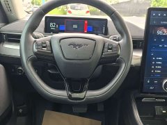 Ford Electric Horse 2021 Rear-wheel drive version (standard range) - фото 7