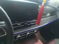 Hongqi HS5 2.0T two-wheel drive Qixiang Pro version - фото 13