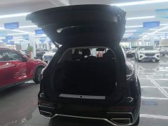 Hongqi HS5 2.0T two-wheel drive Qixiang Pro version - фото 19