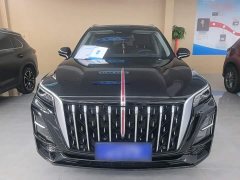 Hongqi HS5 2.0T two-wheel drive Qixiang Pro version - фото 3