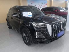 Hongqi HS5 2.0T two-wheel drive Qixiang Pro version - фото 4