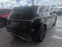 Hongqi HS5 2.0T two-wheel drive Qixiang Pro version - фото 7