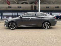 Ruicheng PLUS 1.5T DCT flagship - фото 11