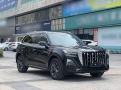 Hongqi HS5 2.0T two-wheel drive Qixiang Pro version - фото 10
