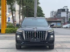 Hongqi HS5 2.0T two-wheel drive Qixiang Pro version - фото 9