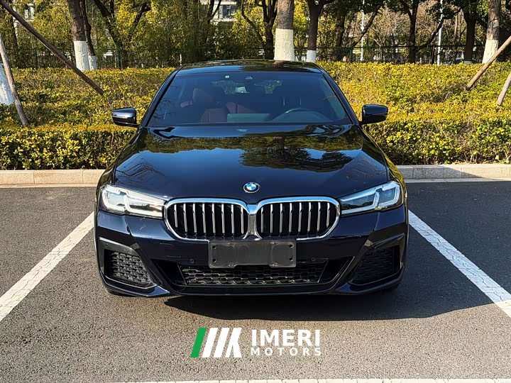 BMW 5 Series 530Li Leading M Sports Package - автомобиль из Китая