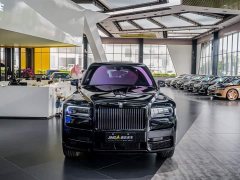 Black Badge - фото 13