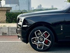 Black Badge - фото 4