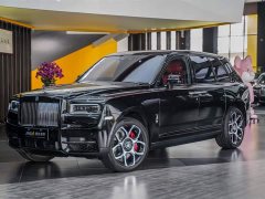 Black Badge - фото 8