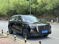 Hongqi HS5 2.0T two-wheel drive Qixiang Pro version - фото 6
