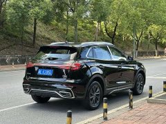 Hongqi HS5 2.0T two-wheel drive Qixiang Pro version - фото 7
