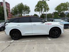Hongqi HS3 2.0T four-wheel drive promising version - фото 4