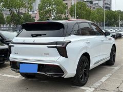 Hongqi HS3 2.0T four-wheel drive promising version - фото 7
