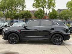 Hongqi HS5 2.0T two-wheel drive Xuanying Edition - фото 4
