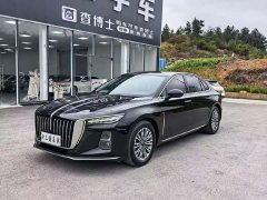 Hongqi H5 1.5T DCT Connected Qiyun Edition - фото 17