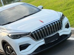 Hongqi E-HS3 2019 Zhilian Qiyue 2WD version - фото 2