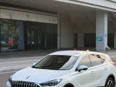 Hongqi E-HS3 2019 Zhilian Qiyue 2WD version - фото 8