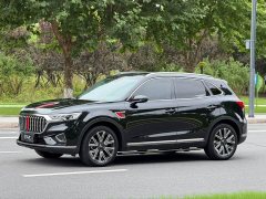 Hongqi HS5 2022 facelift 2.0T Zhilian Qixiang four-wheel drive version - фото 1