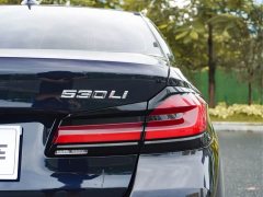 BMW 5 Series Facelift II 530Li Luxury M Sport Package - фото 2
