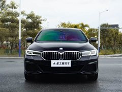 BMW 5 Series Facelift II 530Li Luxury M Sport Package - фото 4