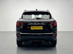 Haval Big Dog PLUS 2.0T four-wheel drive Chaoye Plus - фото 5
