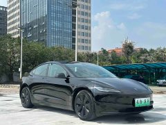 Tesla Model 3 rear-wheel drive version - фото 3