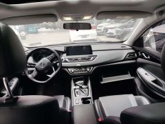 Ruicheng CC 2021 Blue Whale Edition 1.5T DCT Luxury - фото 9
