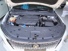 Ruicheng PLUS 1.5T DCT Version - фото 20