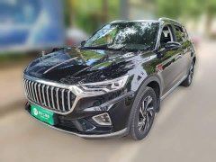 Hongqi HS5 2022 Facelift 2.0T Intelligent Flagship Edition - фото 1