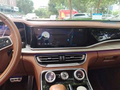 Hongqi H9 2.0T Zhilianqi Chang Edition - фото 13