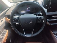 Hongqi E-QM5 610km PLUS - фото 15
