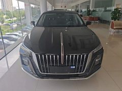 Hongqi H5 2024 2.0T Automatic Zhilianqichang Edition - фото 2