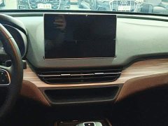 Hongqi E-QM5 610km PLUS - фото 13