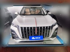 Hongqi HS5 2023 2.0T four-wheel drive Qixiang Pro version - фото 2
