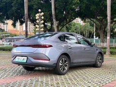 BYD Qin PLUS DM-i Smart Driving Edition 120KM Transcendent Type - фото 5
