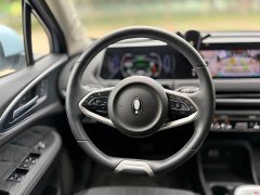 ORA Good Cat 2021 400km Standard Range Venus Edition Ternary Lithium - фото 11