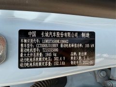 ORA Good Cat 2021 400km Standard Range Venus Edition Ternary Lithium - фото 13