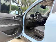 ORA Good Cat 2021 400km Standard Range Venus Edition Ternary Lithium - фото 5
