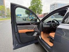BYD Tang DM-i Champion Edition 112KM Premium - фото 6