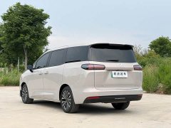 Starlight 730 New Energy plug-in hybrid 125km luxury - фото 6