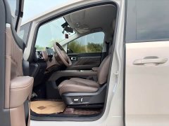 Starlight 730 New Energy plug-in hybrid 125km luxury - фото 9