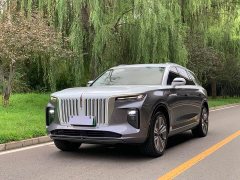 Hongqi E-HS9 2021 Qixian Edition 6-Seater - фото 1
