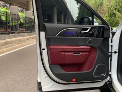 Hongqi E-HS9 2021 Qixian Edition 6-Seater - фото 10