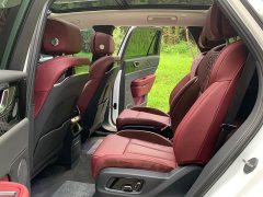 Hongqi E-HS9 2021 Qixian Edition 6-Seater - фото 13