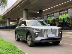 Hongqi E-HS9 2021 Qixian Edition 6-Seater - фото 3