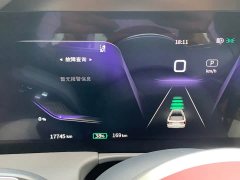 Hongqi E-HS9 2021 Qixian Edition 6-Seater - фото 9
