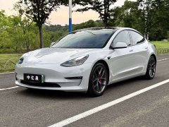 Tesla Model 3 Facelift Performance AWD 3D1 - фото 1