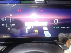 Baojun Yueye Zhizun Edition - фото 8